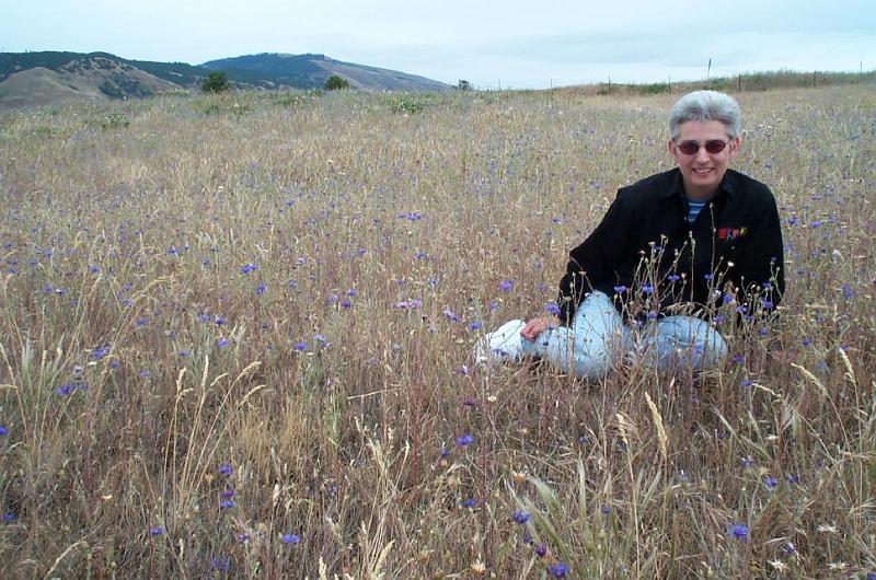 P w Bachelor Buttons.JPG